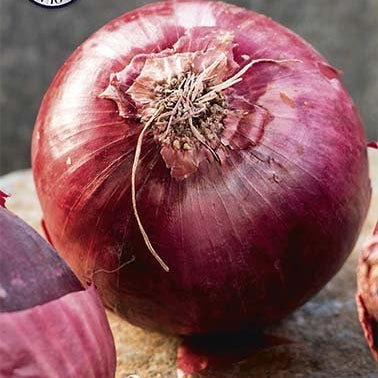 Løk-Onion Red Sun 250 g